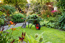 Aménagement jardin à Thionville